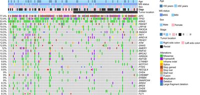 Comprehensive genomic profiling of colorectal cancer patients reveals differences in mutational landscapes among clinical and pathological subgroups